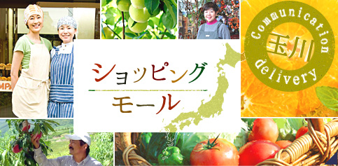 玉川 Communication delivery ショッピングモール