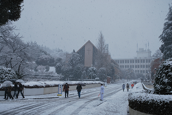 雪