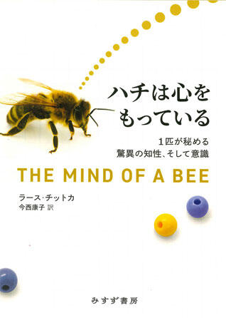 クリックで拡大画像を開きます